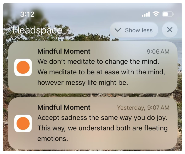 Push notification headspace
